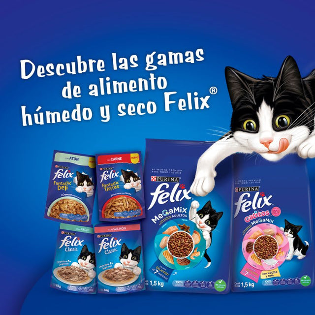 Felix Megamix Gato Adulto 3 Kg Felix Megamix Gato Adulto 3 Kg