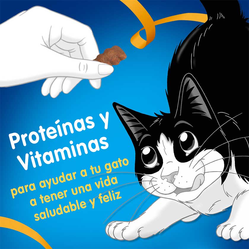 Felix Travesuras Pollo Y Pavo 60Gr Pack 15 Unidades