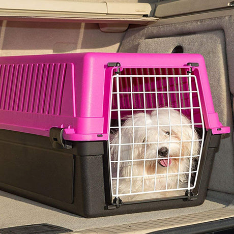 Transportadoras y Bolsos para Perros Ferplast Transportador Atlas 10 Hasta 5Kg Transportadoras y Bolsos para Perros Ferplast Transportador Atlas 10 Hasta 5Kg