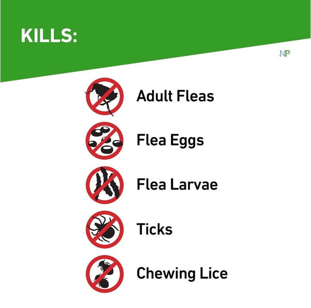 Frontline Plus Pipetas Gatos Frontline Plus Pipetas Gatos