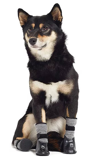 Gfpet Botin Gris Negro Talla Xs  Gfpet Botin Gris Negro Talla Xs