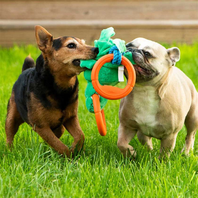 Gigwi Iron Grip Cocodrilo Tirador Gigwi Iron Grip Cocodrilo Tirador