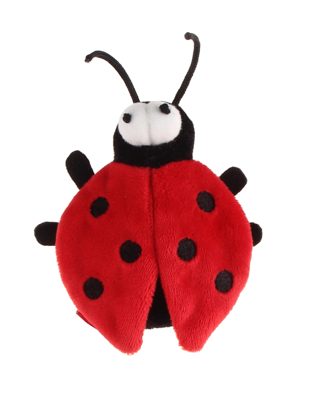 Gigwi Melody Chaser Escarabajo Gigwi Melody Chaser Escarabajo