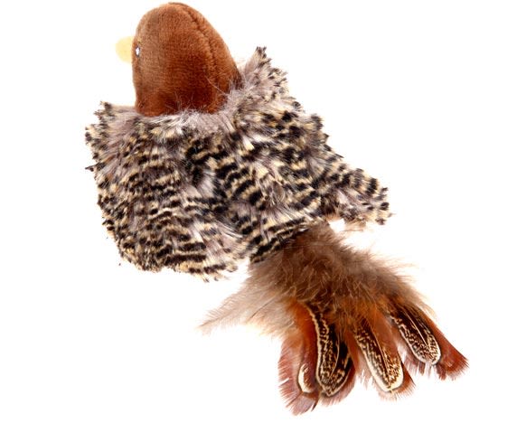 Gigwi Melody Chaser Pajaro Gigwi Melody Chaser Pajaro