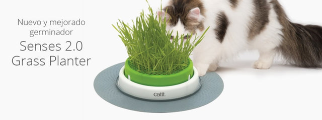 Cat It Senses 2 0 Grass Planter Cat It Senses 2 0 Grass Planter