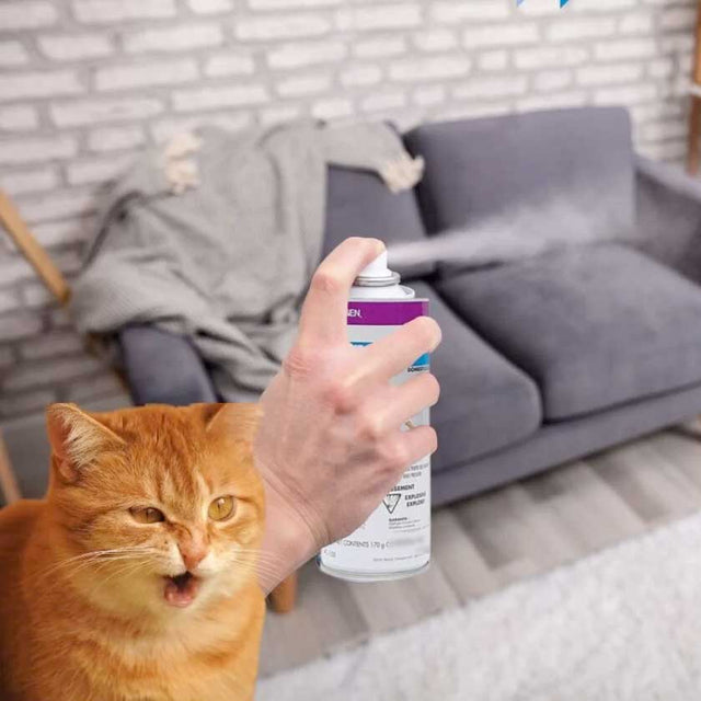 Hagen Repelente En Spray De Gatos En Interiores Hagen Repelente En Spray De Gatos En Interiores