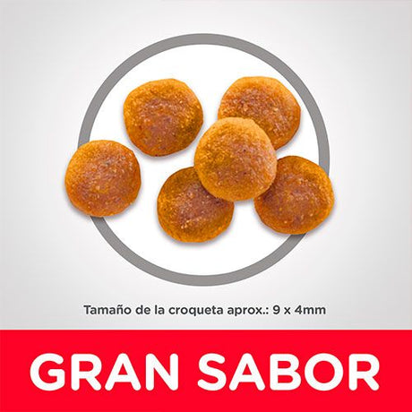 Alimento Seco para Gatos Hills Cat Adult 1 6 7 25Kg Alimento Seco para Gatos Hills Cat Adult 1 6 7 25Kg