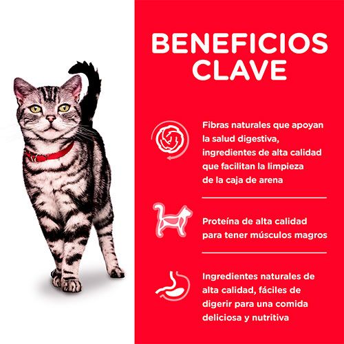 Hills Cat Adult Indoor 1 58Kg Hills Cat Adult Indoor 1 58Kg