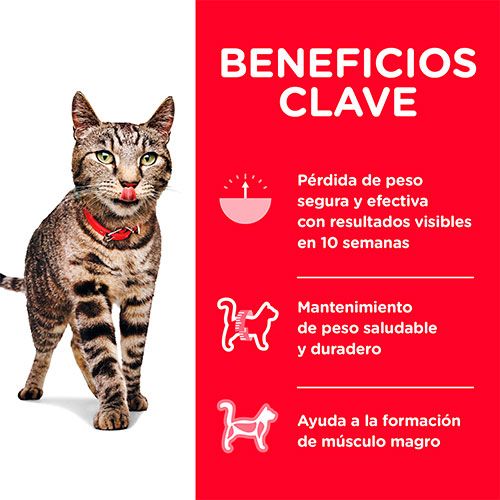 Hills Cat Adult Perfect Weight 1 36Kg Hills Cat Adult Perfect Weight 1 36Kg