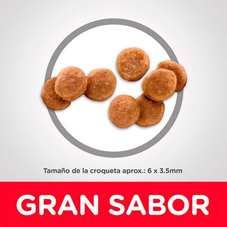 Alimento Seco para Gatos Hills Cat Kitten 1 58Kg Alimento Seco para Gatos Hills Cat Kitten 1 58Kg