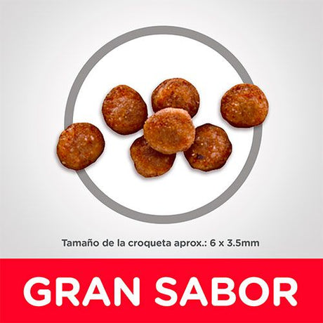 Alimento Seco para Gatos Hills Cat Kitten Indoor 1 58Kg Alimento Seco para Gatos Hills Cat Kitten Indoor 1 58Kg