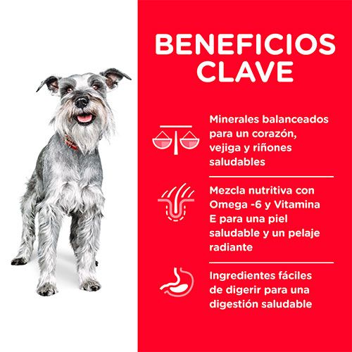 Hills Dog Adult 7 Small Paws 2 04Kg Hills Dog Adult 7 Small Paws 2 04Kg