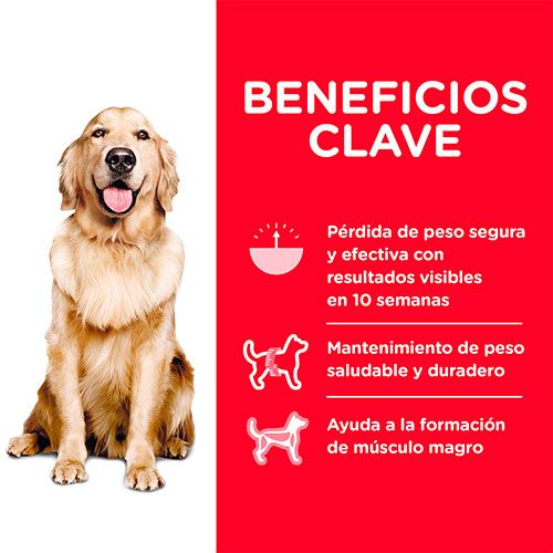 Hills Dog Adult Perfect Weight 6 8Kg Hills Dog Adult Perfect Weight 6 8Kg