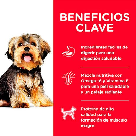 Alimento para Perros Hills Dog Adult Small Paws 2 04Kg Alimento para Perros Hills Dog Adult Small Paws 2 04Kg