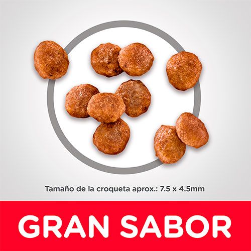 Hills Dog Adult Small Paws 2 04Kg