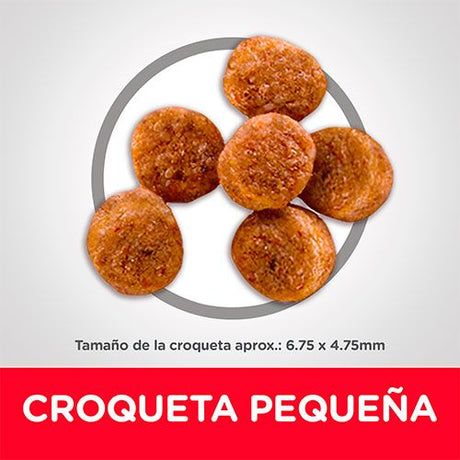 Alimento para Perros Hills Dog Adult Small Paws Light 2 04Kg Alimento para Perros Hills Dog Adult Small Paws Light 2 04Kg
