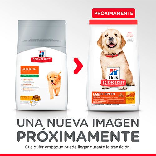 Hills Dog Puppy Large 13 6Kg Hills Dog Puppy Large 13 6Kg