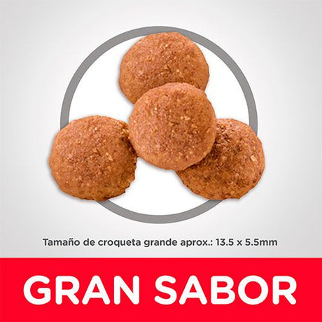 Alimento para Perros Hills Dog Puppy Large 13 6Kg Alimento para Perros Hills Dog Puppy Large 13 6Kg