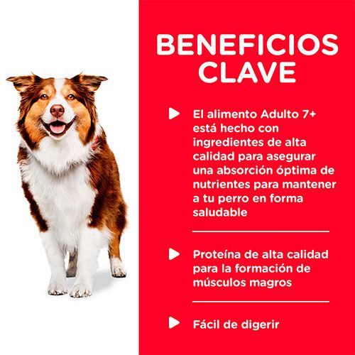 Hills Dog Senior Lata Pollo Y Cebada 370Gr