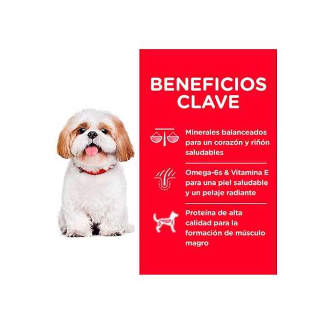 Hills Dog Adulto 7 Small 6 8Kg  Hills Dog Adulto 7 Small 6 8Kg