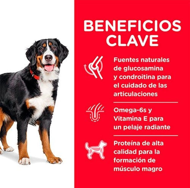 Hills Dog Adult Large 15Kg Hills Dog Adult Large 15Kg