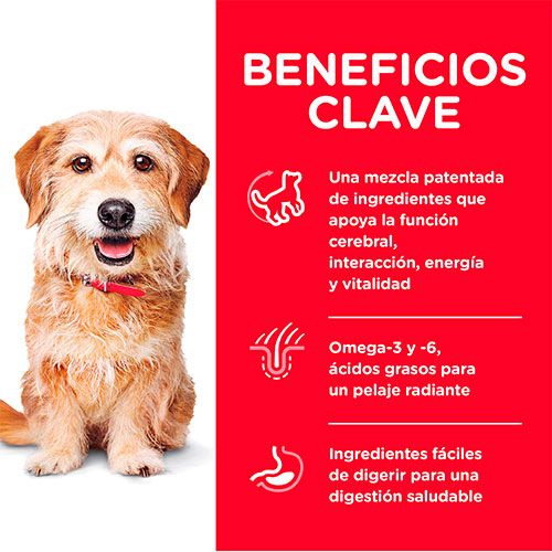 Hills Dog Youthful Vitality Small Toy 7 1 58Kg Hills Dog Youthful Vitality Small Toy 7 1 58Kg