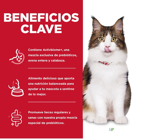 Alimento Seco para Gatos Hills Perfect Digestion Felino 1 58Kg Alimento Seco para Gatos Hills Perfect Digestion Felino 1 58Kg