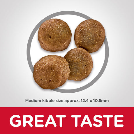 Alimento para Perros Hills Dog Sensitive Stomach Skin 1 81Kg Alimento para Perros Hills Dog Sensitive Stomach Skin 1 81Kg