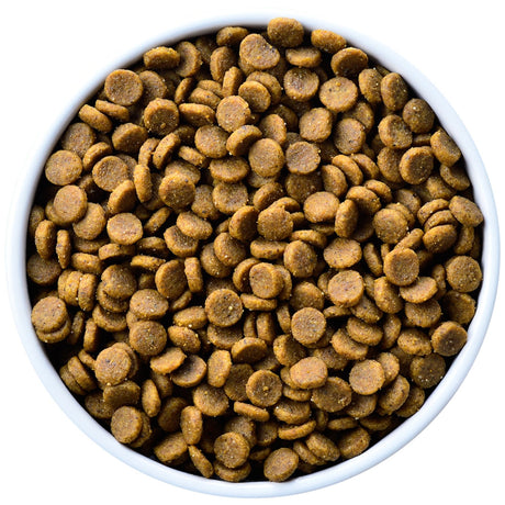 Más Vendidos Alimento Perros Hills K D Canino Renal 3 8Kg Más Vendidos Alimento Perros Hills K D Canino Renal 3 8Kg