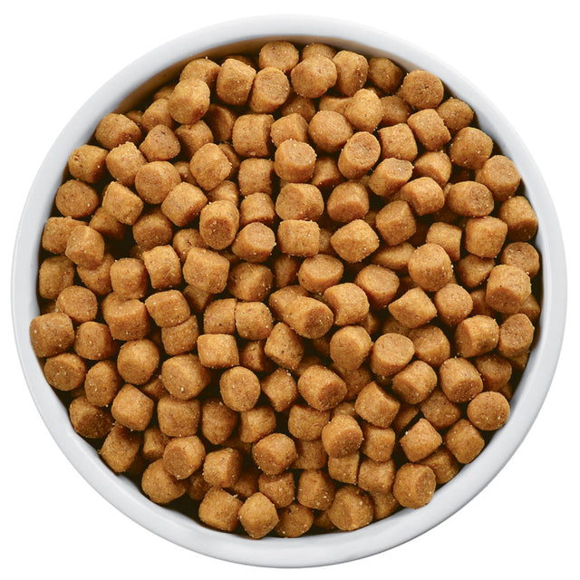 Hills L D Canino Hepatic 7 9Kg Hills L D Canino Hepatic 7 9Kg