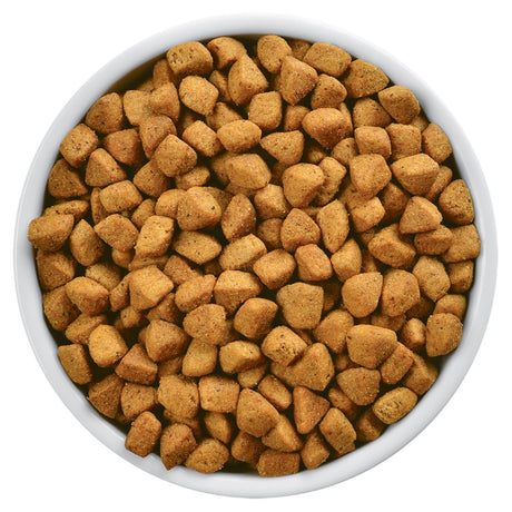 Alimentación Medicada para Gatos Hills Metabolic Felino 1 8Kg Alimentación Medicada para Gatos Hills Metabolic Felino 1 8Kg