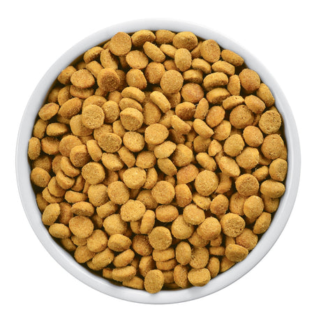 Alimentación Medicada para Gatos Hills R D Felino Weight Loss 1 8Kg Alimentación Medicada para Gatos Hills R D Felino Weight Loss 1 8Kg