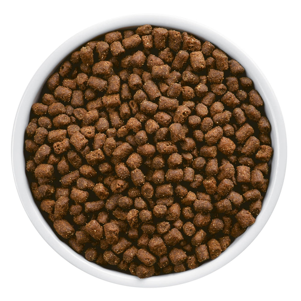 Hills Z D Felino Hipoalergenico 1 8Kg
