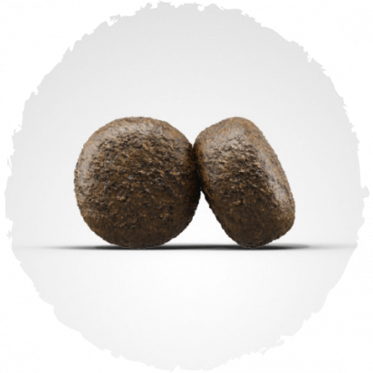 Josera Dog Light Vital 12 5Kg Josera Dog Light Vital 12 5Kg