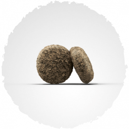 Josera Dog Mini Junior 4 5Kg Josera Dog Mini Junior 4 5Kg