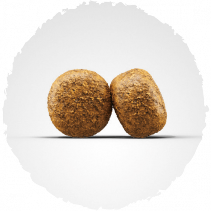 Alimento para Perros Josera Dog Senior Balance 12 5Kg Alimento para Perros Josera Dog Senior Balance 12 5Kg