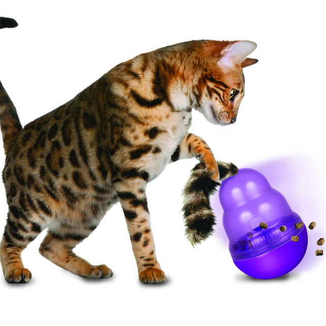 Kong Wobbler Cat  Kong Wobbler Cat