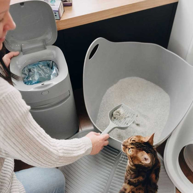 Litter Genie Pail Design Plus Basurero Para Arena Sanitaria Litter Genie Pail Design Plus Basurero Para Arena Sanitaria