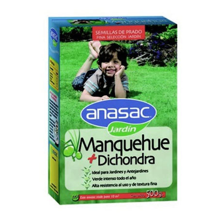 Semillas de Pasto Semilla De Pasto Mezcla Manquehue Con Dichondra 500Gr Semillas de Pasto Semilla De Pasto Mezcla Manquehue Con Dichondra 500Gr