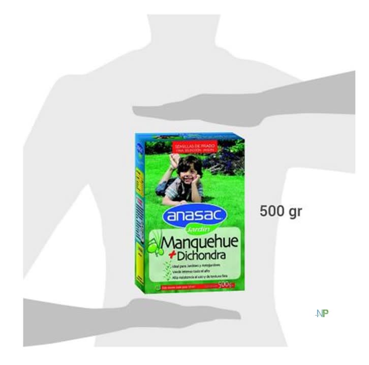 Semilla De Pasto Mezcla Manquehue Con Dichondra 500Gr