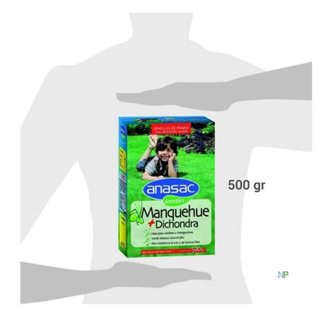 Semilla De Pasto Mezcla Manquehue Con Dichondra 500Gr  Semilla De Pasto Mezcla Manquehue Con Dichondra 500Gr