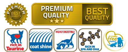 Matisse Gatitos Filhotes Gatitos 2Kg  Matisse Gatitos Filhotes Gatitos 2Kg