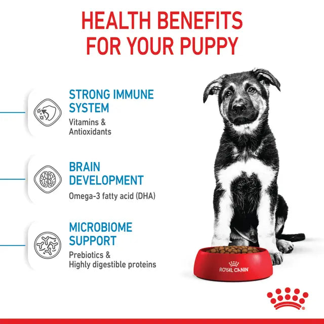 Royal Canin Maxi Puppy 4Kg Royal Canin Maxi Puppy 4Kg