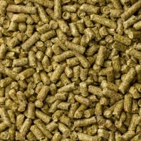 Mazuri Chinchilla 1 13Kg  Mazuri Chinchilla 1 13Kg