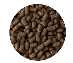 Mazuri Huron Ferret Diet 4 52Kg