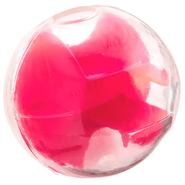 Planet Dog Mazee Rosa  Planet Dog Mazee Rosa