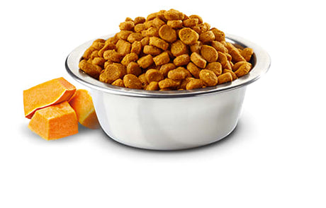 Alimento Seco para Gatos Natural And Delicious Pumpkin Pollo Felino Castrado Adulto 7 5Kg Alimento Seco para Gatos Natural And Delicious Pumpkin Pollo Felino Castrado Adulto 7 5Kg