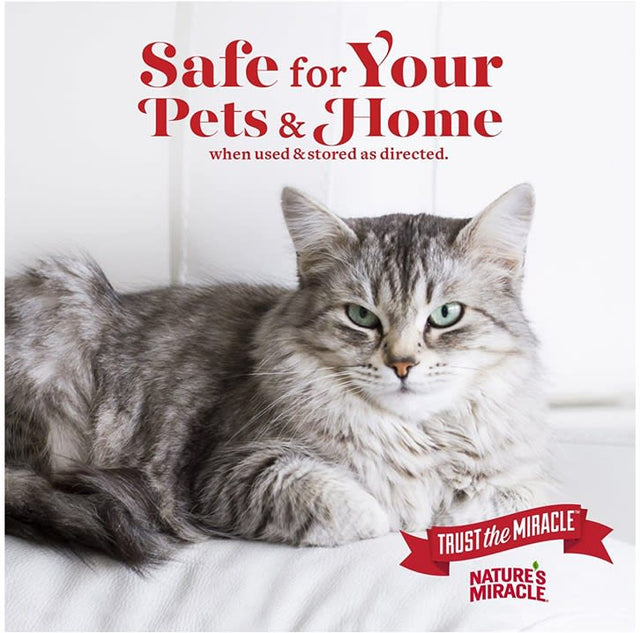 Eliminador Olores Gatos Set In Stain Destroyer Oxy Formula 709Ml Eliminador Olores Gatos Set In Stain Destroyer Oxy Formula 709Ml