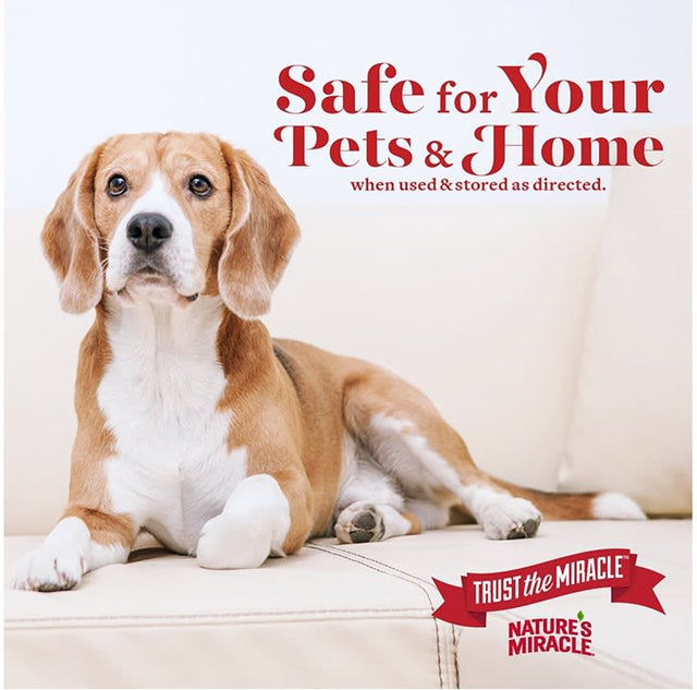 Eliminador Olores Perros Set In Stain Destroyer Oxy Formula 946Ml Eliminador Olores Perros Set In Stain Destroyer Oxy Formula 946Ml