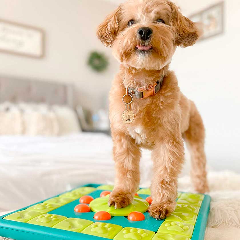 Nina Ottosson Perros Multipuzzle Nivel 4
